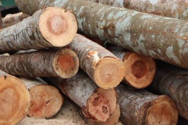 Sawmill ahşap kesilen ve bir kereste fabrikasında işlenmeye hazır ahşap anlamına gelir, daha sonra ahşap çeşitli aşamalarda işlenir istenilen boyutu, şekli ve şekli ile daha küçük ahşap parçalarına çevrilir