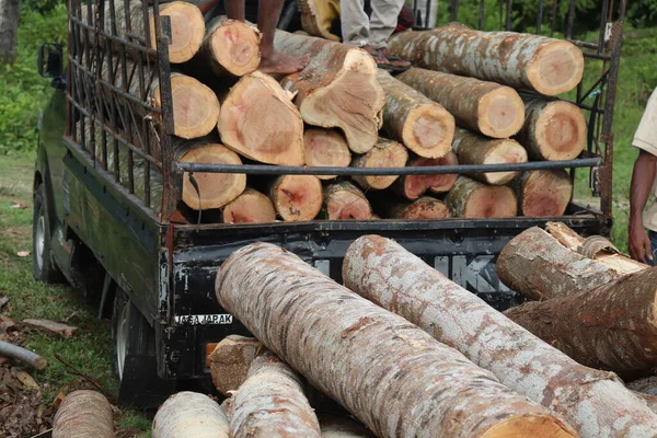 stock image Wood in Sawmill refers to the wood that has been cut and ready to be processed in a sawmill factory, the wood is then processed through various stages to be converted into smaller pieces of wood with the desired size and shape and shape