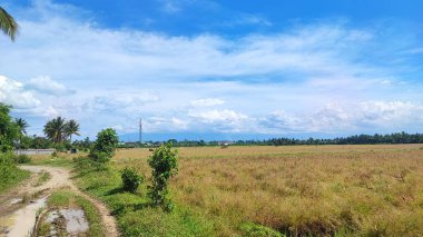 Bulutların görüntüsü güzel ve nefes kesici olabilir. Bulutlar deniz yüzeyinden buharlaşan su buharından oluşur ve su buharı daha yüksek irtifaya ulaştığında...