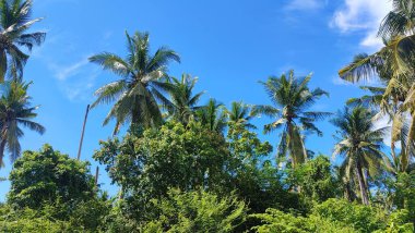 Bulutların görüntüsü güzel ve nefes kesici olabilir. Bulutlar deniz yüzeyinden buharlaşan su buharından oluşur ve su buharı daha yüksek irtifaya ulaştığında...