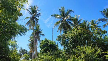 Bulutların görüntüsü güzel ve nefes kesici olabilir. Bulutlar deniz yüzeyinden buharlaşan su buharından oluşur ve su buharı daha yüksek irtifaya ulaştığında...