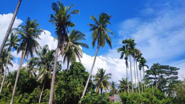 Bulutların görüntüsü güzel ve nefes kesici olabilir. Bulutlar deniz yüzeyinden buharlaşan su buharından oluşur ve su buharı daha yüksek irtifaya ulaştığında...