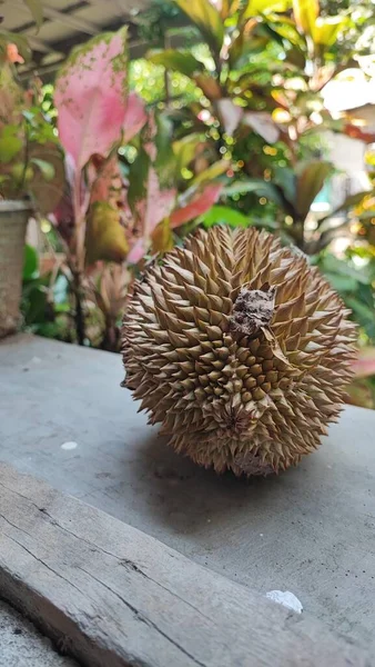 Duriano Uma Fruta Tropical Conhecida Por Seu Aroma Forte Sabor — Fotografia de Stock
