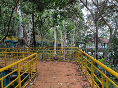 Parktaki tahta köprü.