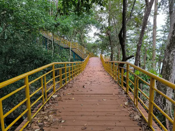 Parktaki nehrin üzerindeki köprü.