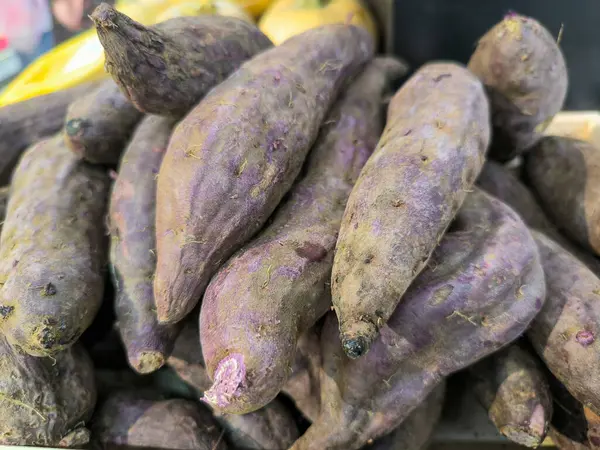 close up of a purple and yellow eggplant