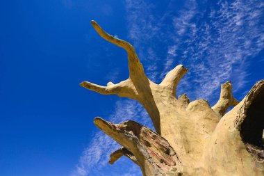 Xinjiang 'daki Jungar Havzası' ndaki silize edilmiş ahşap, ahşap fosilleri olarak da bilinir, en az 100 milyon yıl sonra oluşabilir, ve son derece eşsiz bir doğal varlıktır..