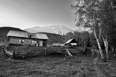 Tuvalar geleneksel olarak besin için hayvanlarına bel bağlayan göçebe çobanlardır, ancak şimdi birçok Tuva kasabalara ve şehirlere yerleşti. Tuvalar Çin 'in kuzeybatısında özerk bir bölge olan Xinjiang' daki etnik gruplardan biridir..