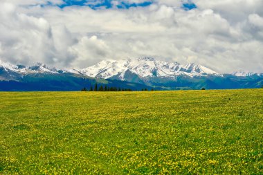 Kalajun otlakları, yüksek kar örtülü dağlarla desteklenen yuvarlanan tepeler şeklindedir ve otlaklarda ormanlar, çiçekler ve diğer manzaralar vardır..