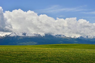 Kalajun otlakları, yüksek kar örtülü dağlarla desteklenen yuvarlanan tepeler şeklindedir ve otlaklarda ormanlar, çiçekler ve diğer manzaralar vardır..