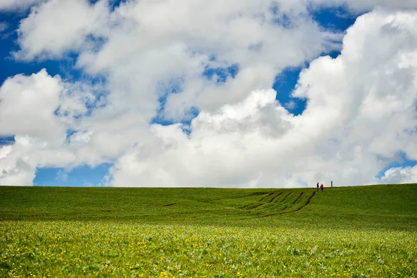 Stock image Kalajun Grassland is in the shape of rolling hills, backed by towering snow-capped mountains, and there are forests, flowers, and other landscapes on the grassland.