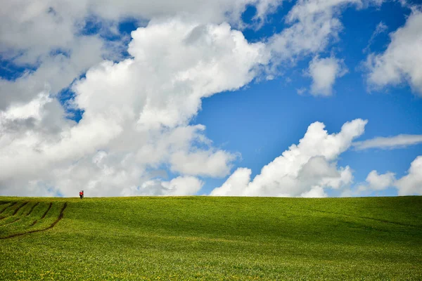 stock image Kalajun Grassland is in the shape of rolling hills, backed by towering snow-capped mountains, and there are forests, flowers, and other landscapes on the grassland.