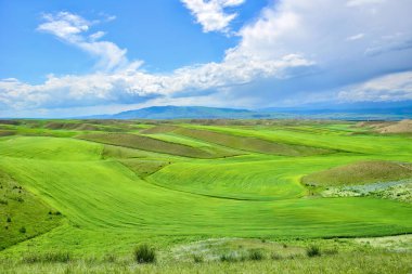 Tianshan Dağları 'nın ıssız vadisinde bulunan küçük bir Kazak köyü olan Xinjiang' daki Qiongkushtai 'nin geniş bir çayırı, sakin atları ve koyunu vardır..