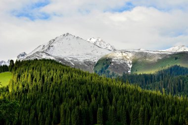 Tianshan Dağları 'nın ıssız vadisinde bulunan küçük bir Kazak köyü olan Xinjiang' daki Qiongkushtai 'nin geniş bir çayırı, sakin atları ve koyunu vardır..