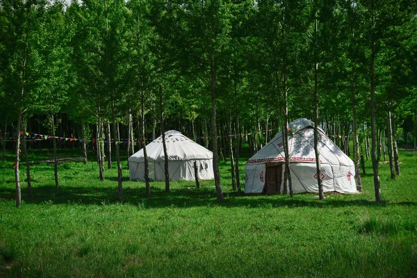 カザフスタンのフェルトハウスは ユルトとも呼ばれ フェルトなどの天然素材で作られた伝統的な遊牧民の住居です — ストック写真