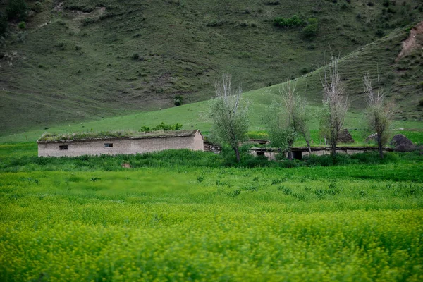 Qiongkushtai Xinjiang Uma Pequena Aldeia Cazaque Localizada Vale Isolado Das — Fotografia de Stock
