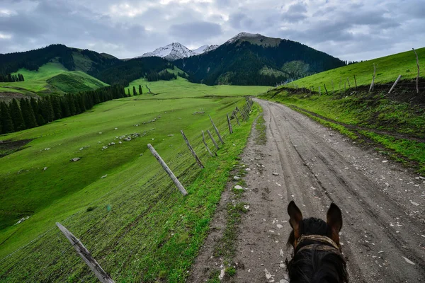 Tianshan Dağları 'nın ıssız vadisinde bulunan küçük bir Kazak köyü olan Xinjiang' daki Qiongkushtai 'nin geniş bir çayırı, sakin atları ve koyunu vardır..