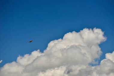 Xinjiang 'da Qiongkushtai, geniş bir çayıra, sakin atlara ve koyunlara sahip küçük bir Kazak köyü..