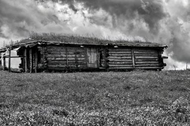 Xinjiang 'da Qiongkushtai, geniş bir çayıra, sakin atlara ve koyunlara sahip küçük bir Kazak köyü..