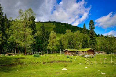 Xinjiang 'da Qiongkushtai, geniş bir çayıra, sakin atlara ve koyunlara sahip küçük bir Kazak köyü..