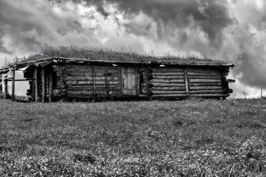 Xinjiang 'da Qiongkushtai, geniş bir çayıra, sakin atlara ve koyunlara sahip küçük bir Kazak köyü..