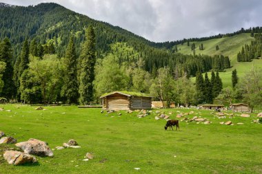 Xinjiang 'da Qiongkushtai, geniş bir çayıra, sakin atlara ve koyunlara sahip küçük bir Kazak köyü..