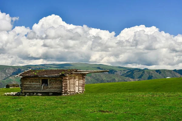 Xinjiang 'da Qiongkushtai, geniş bir çayıra, sakin atlara ve koyunlara sahip küçük bir Kazak köyü..
