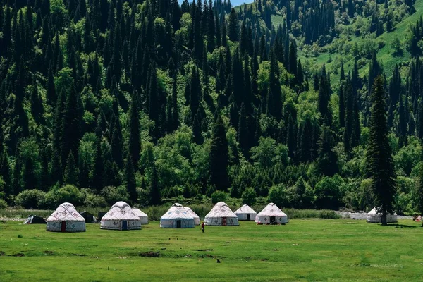 Unas Cuantas Yurtas Kazajas Bayinbulak Swan Lake Reserve Xinjiang — Foto de Stock