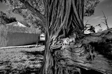 Lop Nur halkının kökleri binlerce yıl öncesine kadar takip edilebilir. Temel olarak geçimlerini balıkçılıkla sağlıyorlardı.