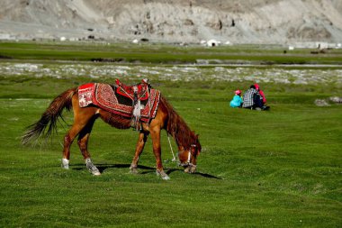 Alar Ulusal Wetland Parkı yüksek dağlarla çevrili, otlaklar ve içinden akan küçük nehirlerle.