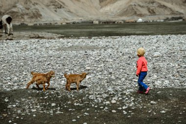 Alar Ulusal Wetland Parkı yüksek dağlarla çevrili, otlaklar ve içinden akan küçük nehirlerle.