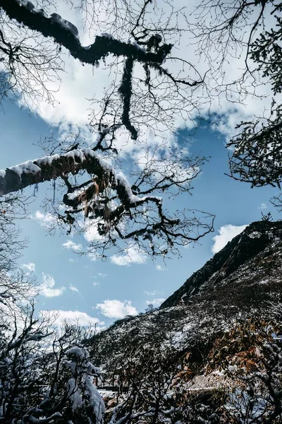 Superbes Paysages Région Alpine Dans Ouest Sichuan Chine Avec Des — Photo