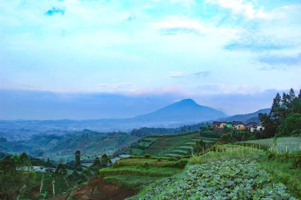 View Mountains Cabbage Plantations Village Dieng — Stock Photo, Image