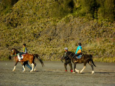 Bromo Dağı 'na doğru at süren turistler