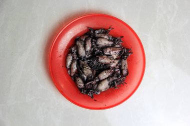 kırmızı tabakta kaynamış mürekkep balığı.