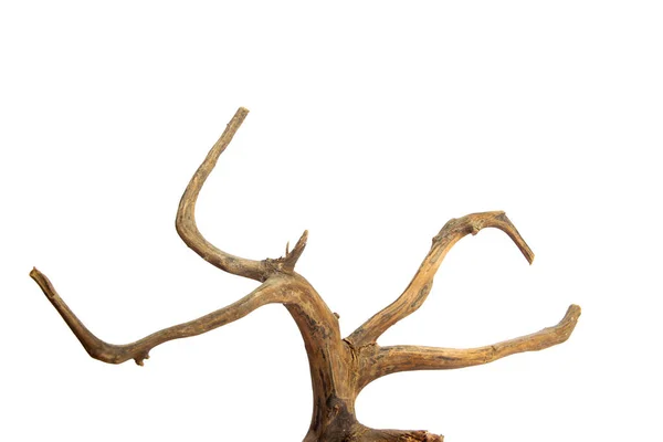 Horns Driftwood Branches Isolated White Background Clipping Path — Stock Photo, Image