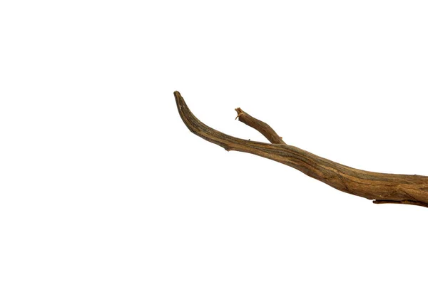 Egy Darab Ágak Driftwood Elszigetelt Fehér Alapon Nyírás Útvonal — Stock Fotó