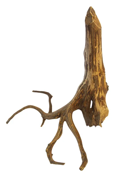 Beyaz arkaplanda izole edilmiş, kırpma yolu da dahil olmak üzere, tahta kütüklerdeki ölü çıplak dallar