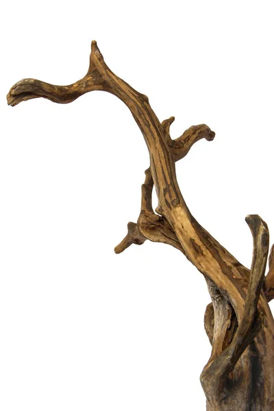 Driftwood Boomwortel Voor Het Versieren Van Geïsoleerde Witte Achtergrond Met Rechtenvrije Stockafbeeldingen