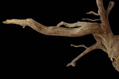 Akvaryum için kahverengi akvaryum akvaryumu tasarımı kırpma yolu ile siyah arkaplan üzerinde izole