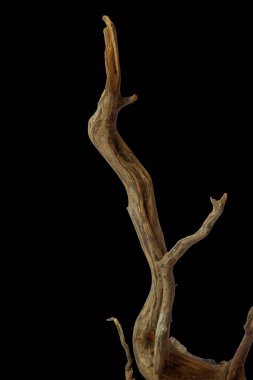 Dekorasyon için estetik sürüklenme dokusu kırpma yolu ile siyah arkaplanda izole edilmiş