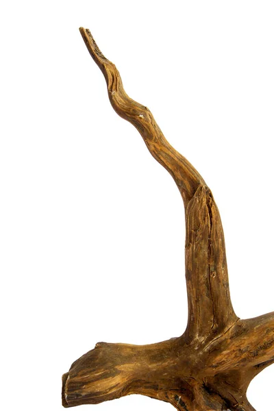 Boynuz parçacıkları kırpma yolu ile beyaz bir zemin üzerinde izole