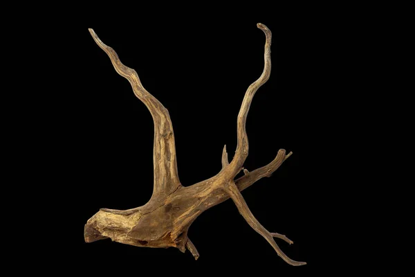 Horn Träd Rot Driftwood Isolerad Svart Bakgrund Med Klippning Väg — Stockfoto