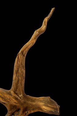 Boynuz parçacıkları kırpma yolu ile siyah arkaplan izole