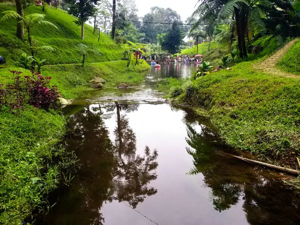 Ormanda Huzurlu Bir Nehir — Stok fotoğraf