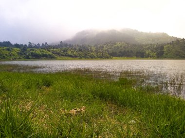Sabahları sisle kaplı tropikal dağ manzarası