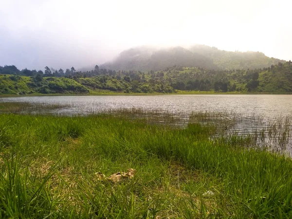 Sabahları sisle kaplı tropikal dağ manzarası
