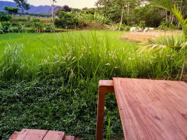 Yeşil pirinç tarlaları manzaralı ahşap bir kafe terası. Bali