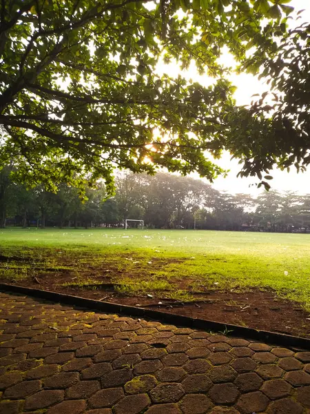 Сценический Восход Солнца Лугу Деревьях — стоковое фото