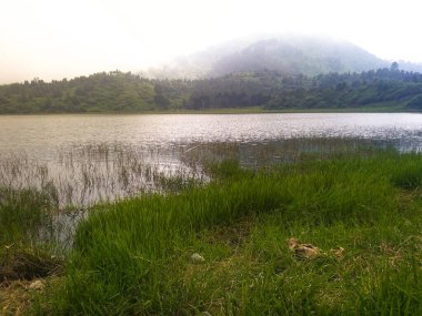 Sabah sisi, çimenli gölde